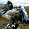 haideralmaqdour