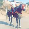 laidsaib
