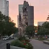rosasoranno0