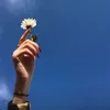 z_liha