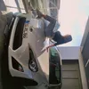 lubapupsik