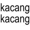 beng5559zp