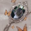 iamoofercat