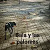 balaylaspalomas