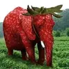 elephantmorango