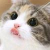 pat_9x