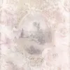 vv_.x1