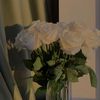 flower888s8