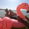 rodrigogllisboa