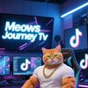 Meows JourneyTv