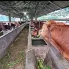ekopurnomo7255