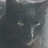 kwidndijdf