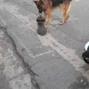 nailimoj3vv