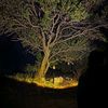 prosto_halil1304