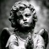 usser_5117464
