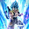 vegeto45360