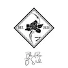 blackrose_studio4