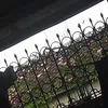 adaiya__