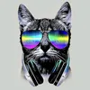 catglasgow_63