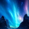 mobile.and.free.fi