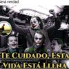 danqui16