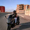 _shelby_37
