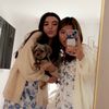 _vivi.e