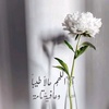 maha.hamdan66