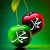 user336200556