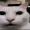 quetenemosrami
