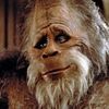 searching4squatch