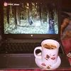 hosna623