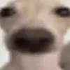 vilsono1