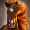 beroo433