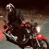 glzz.wzr