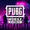 PUBG Mobile Esports Indo