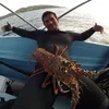 ronaldammon