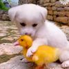 gung_unyil