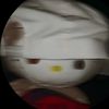 adam_a023