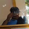 tchtiar
