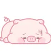 thanhthuankkk