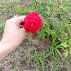 abdul_hadi.661