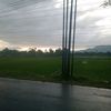 mimin_gading