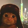 shiwonei