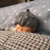 sleepyeig