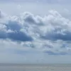 blossom_cloudxs