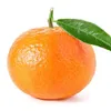 mandarin1458