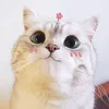 maihoang2075