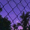 tuminh1110937