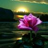 zainabdarwish94